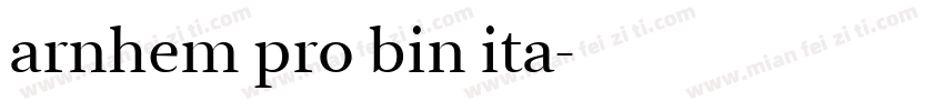 arnhem pro bin ita字体转换